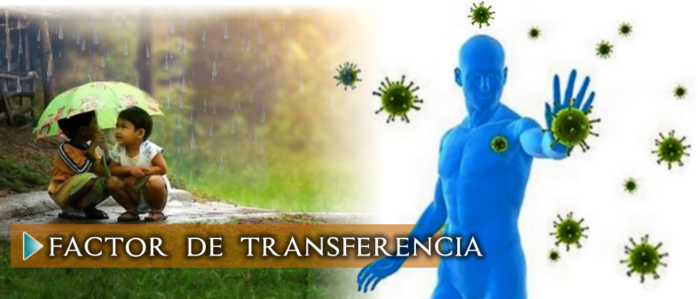 2factordetransferencia